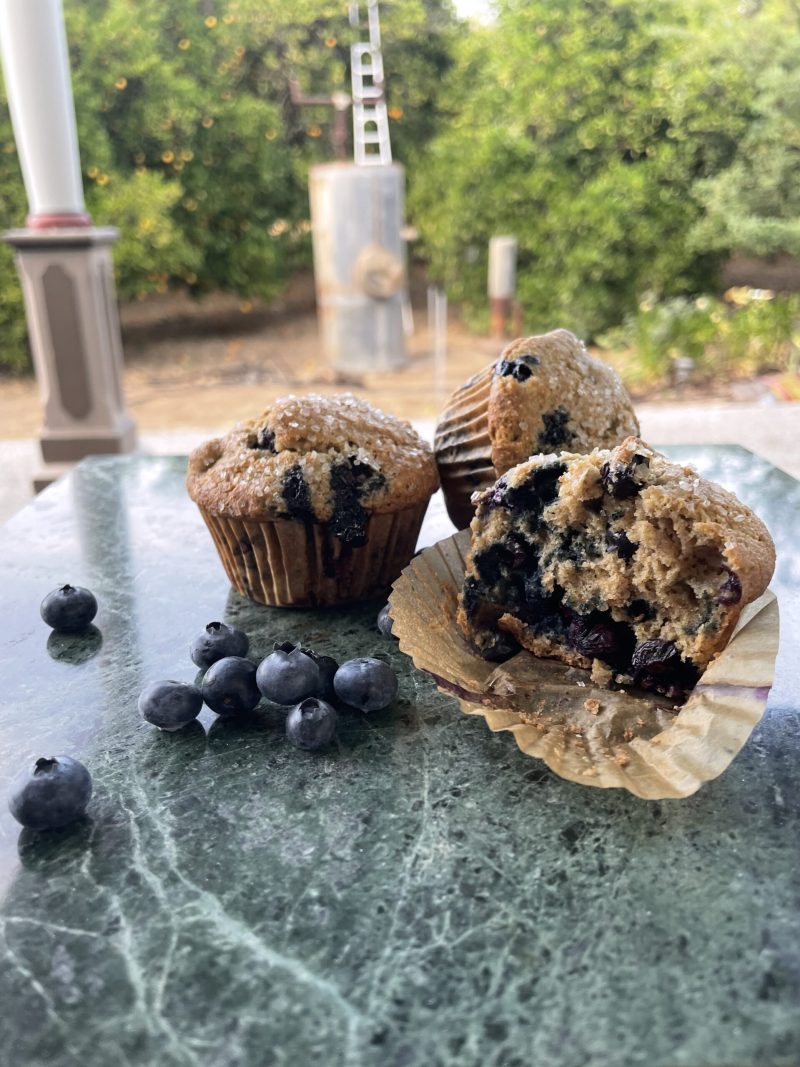 sourdough blueberry muffin